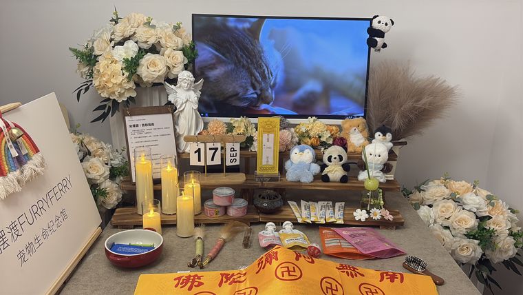北海宠物火化全流程拆解：一枚骨灰需要多久